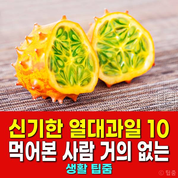 열대과일 종류 영어로