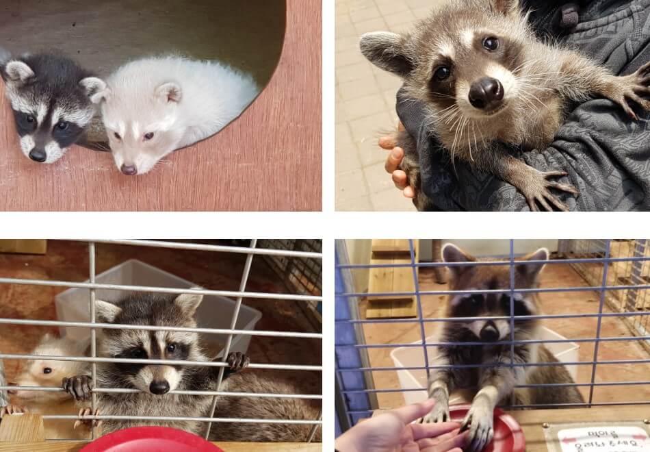 퍼스트가든 별빛이 흐르는 정원은 파주에 가 볼만한 곳으로 인기있는 곳입니다.