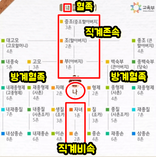 직계존비속 방계혈족