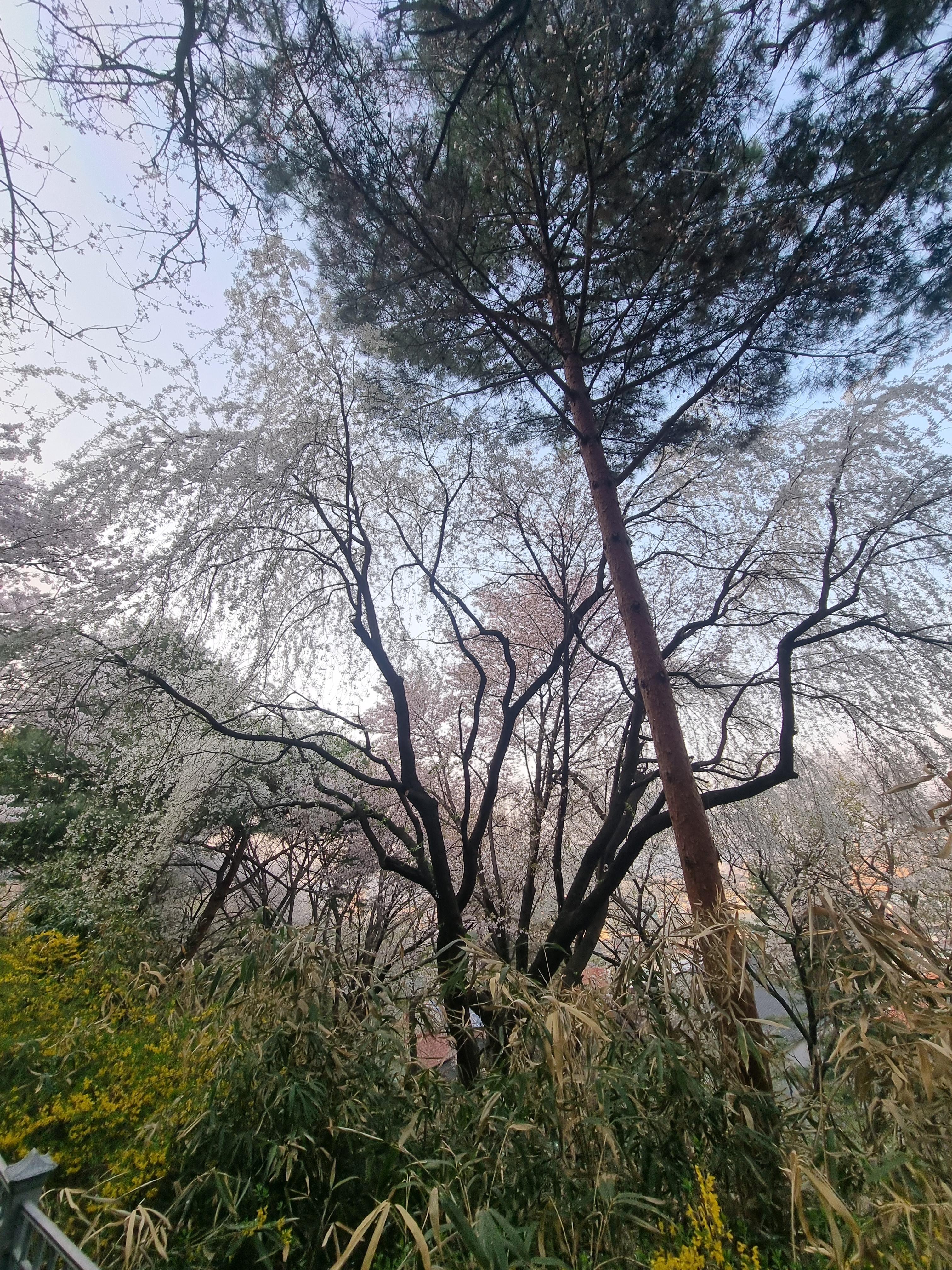 경기도에 가볼만한 곳