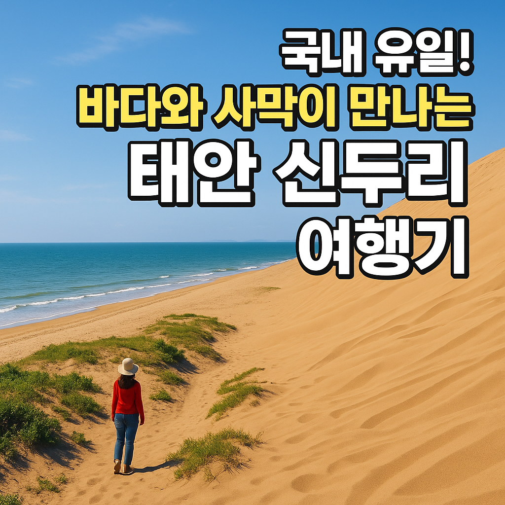 국내 유일! 바다와 사막이 만나는 태안 신두리 여행기