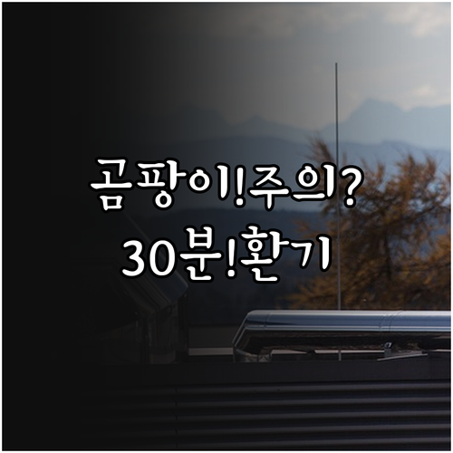 호흡기 지키는 곰팡이 관리, 하루 3..
