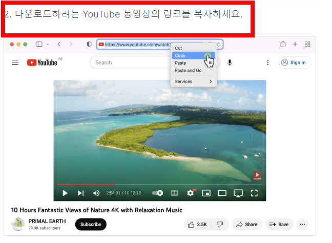 4k video downloader 다운로드