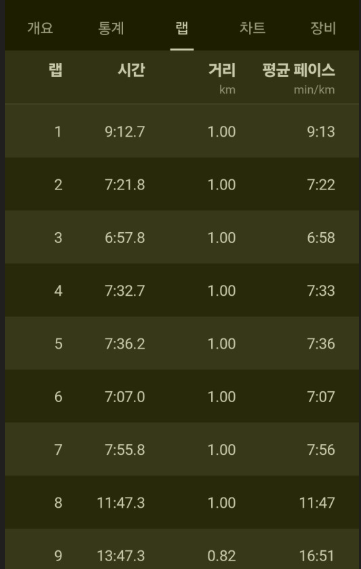 나의 가민 기록 (5월 기준)