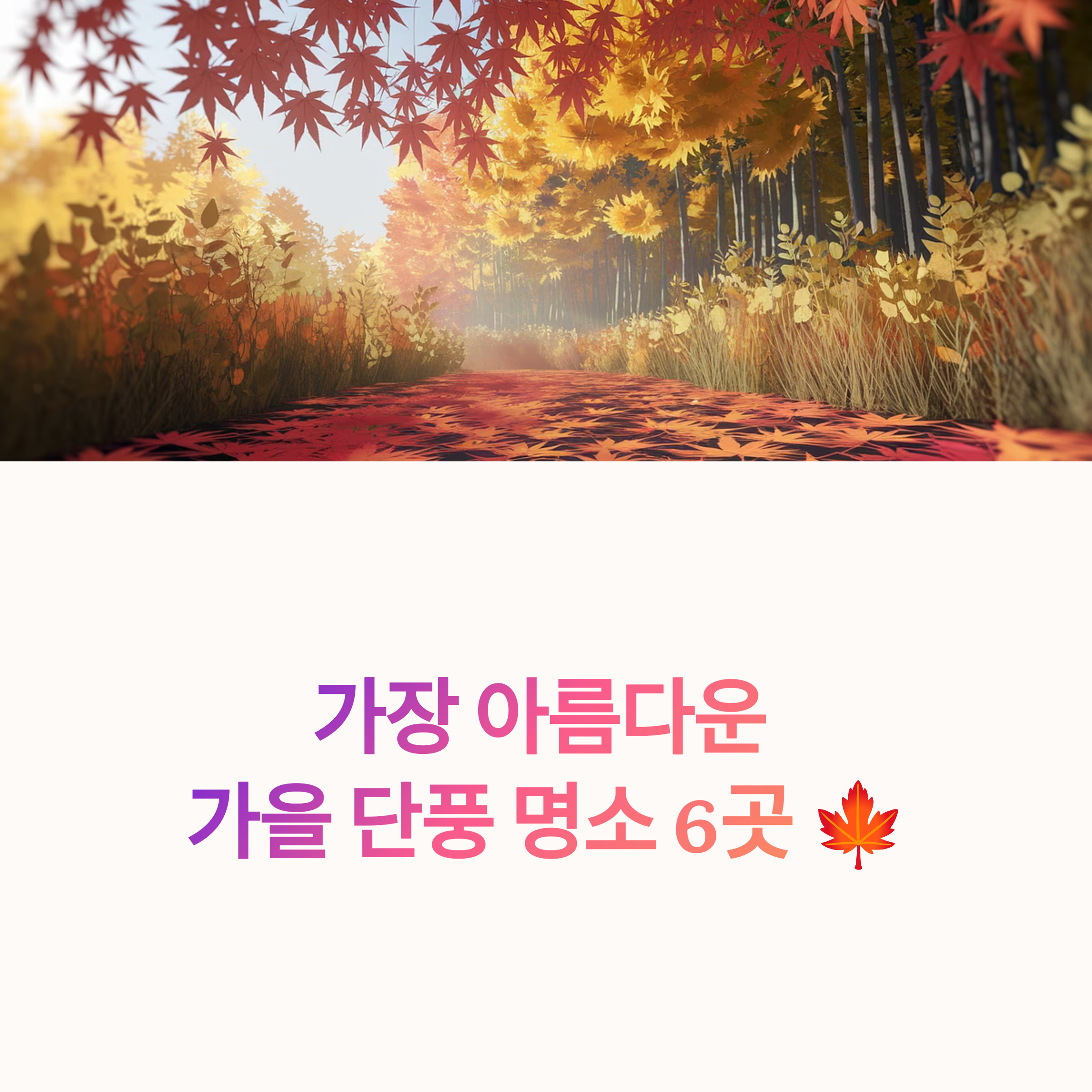 인생샷 필수 가을 단풍 명소 6선