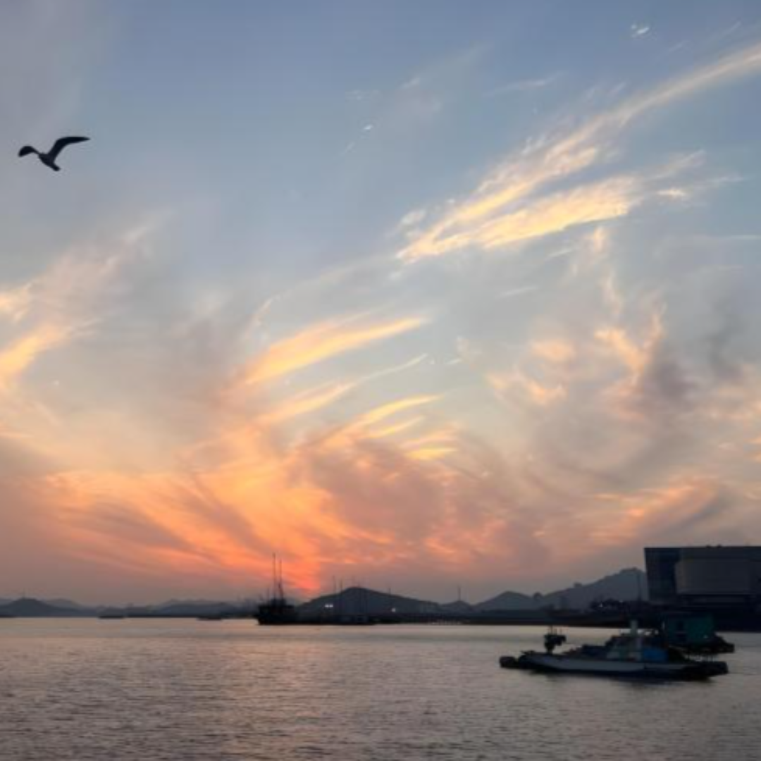 전남 목포 낭만포차 관련 사진