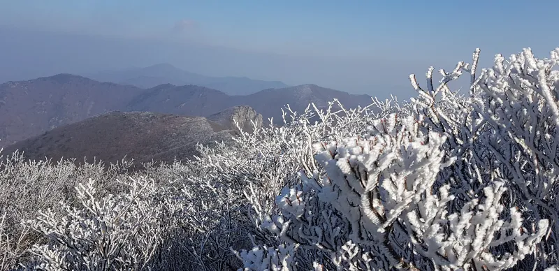 울산 가지산 설경