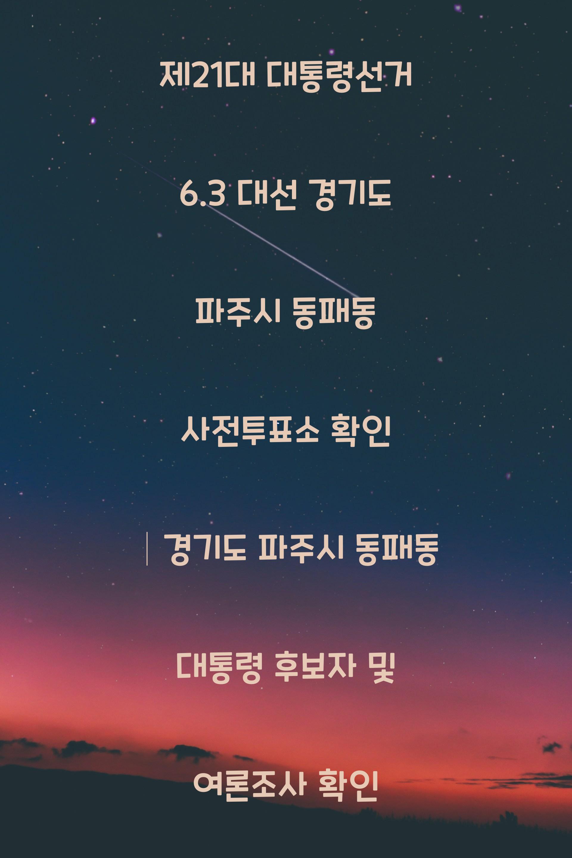 제21대 대통령선거 6.3 대선 경기도 파주시 동패동 사전투표소 안내 │경기도 파주시 동패동 대통령 후보자 및 여론조사 확인