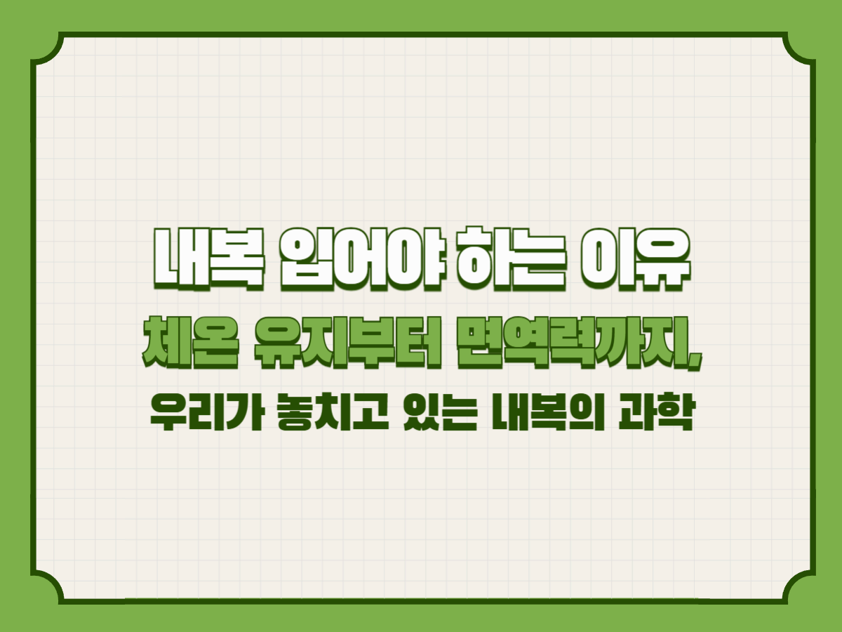 내복 입어야 하는 이유 &ndash; 체온 유지부터 면역력까지, 우리가 놓치고 있는 내복의 과학