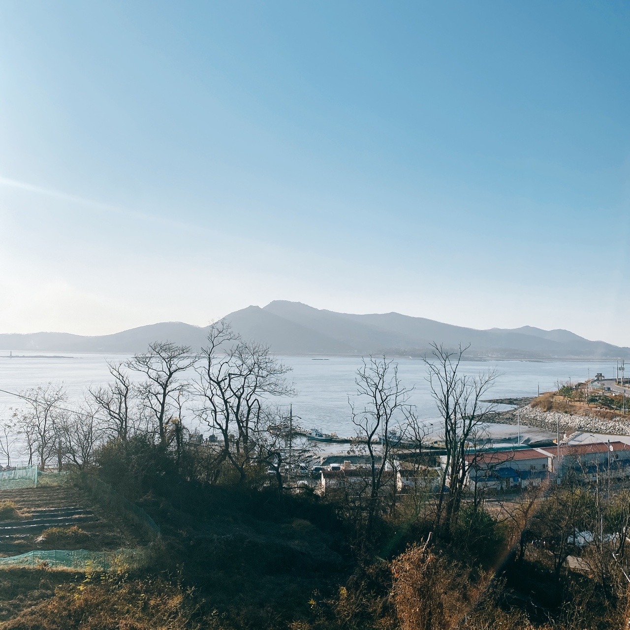 석모도 오션뷰 카페칼럼