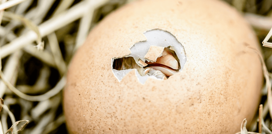 흰옷 빨래하는 방법2