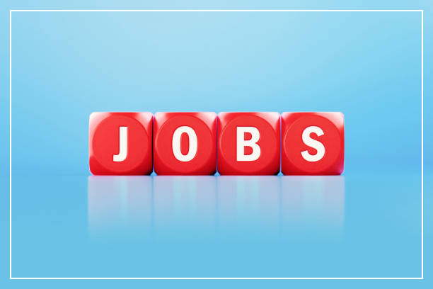 미래내일 일경험 사업