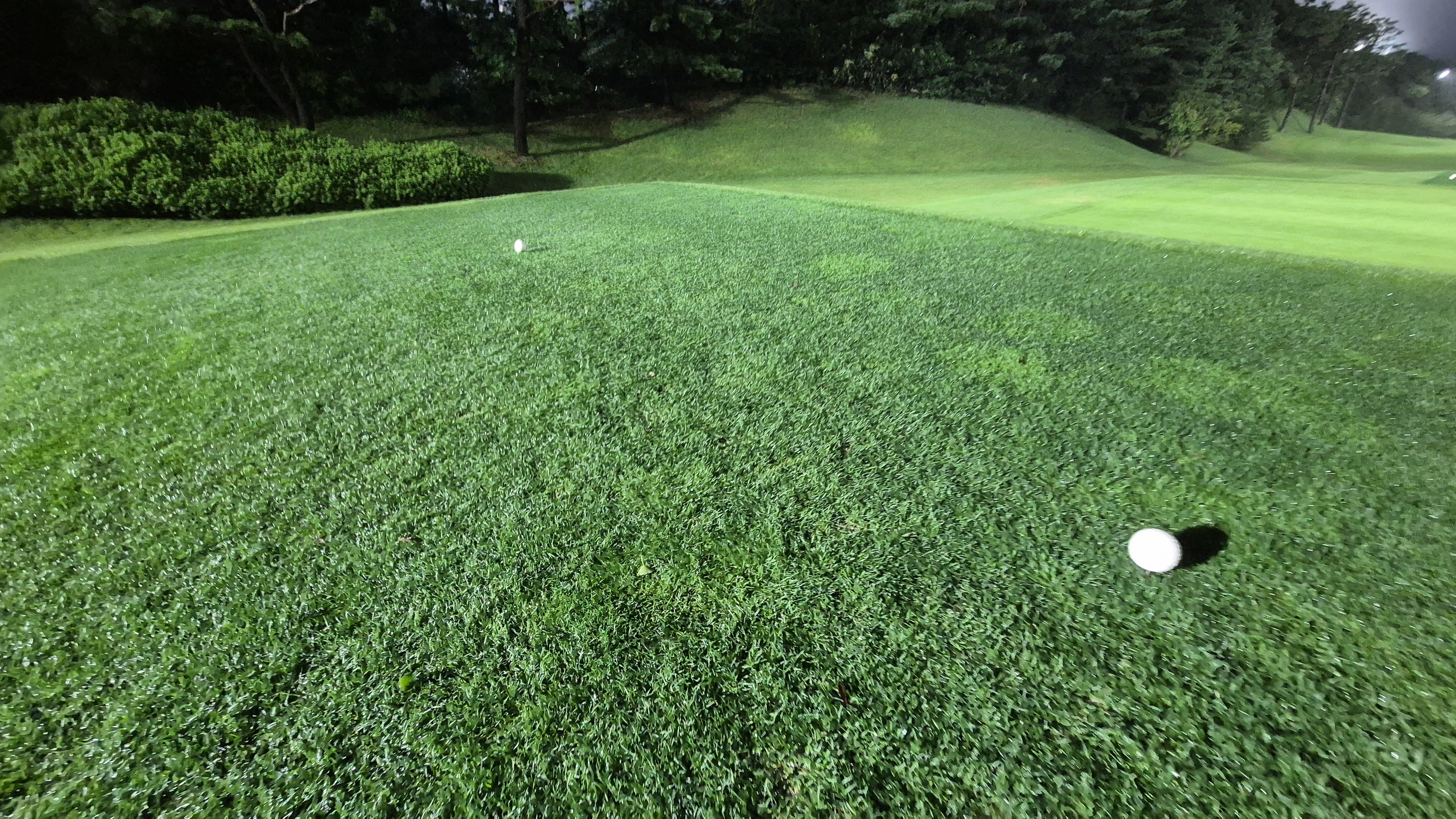 블루원용인cc 티잉구역상태
