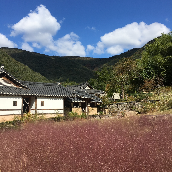 아원고택의 모습, 뒷산 구름 그림자