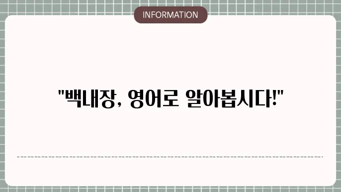 백내장 증상들