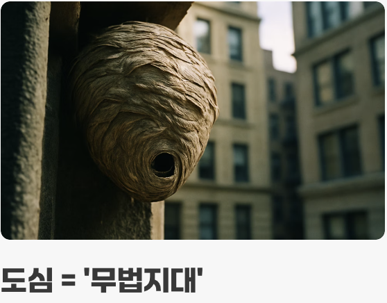 천적이 없는 안전한 피난처