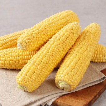 초당옥수수란? 유명 산지(의령&amp;#44; 밀양 등)