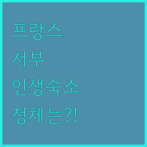 프랑스 서부 여행 중 만난 인생 숙소..