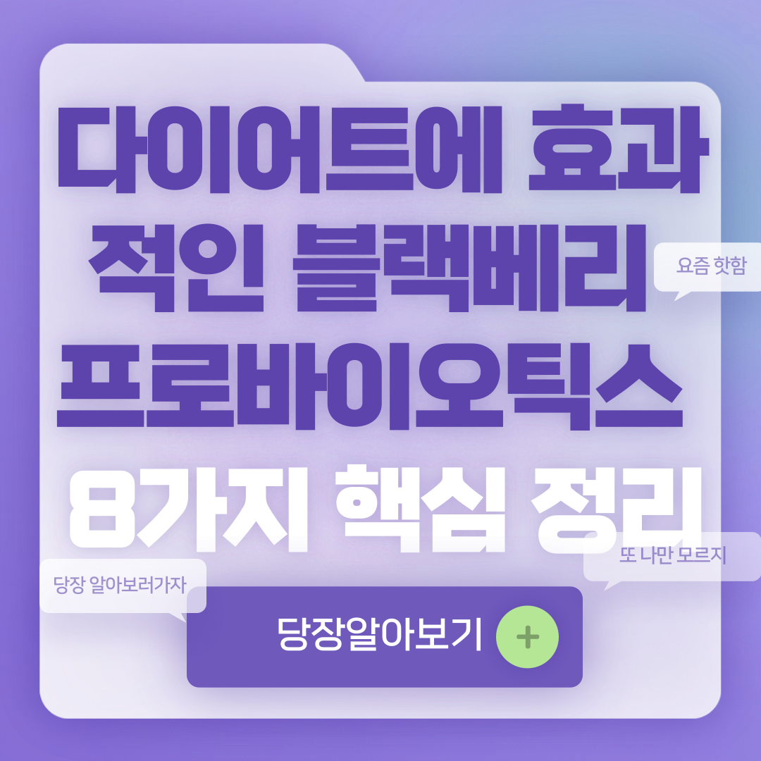 블랙베리 프로바이오틱스 다이어트 효과