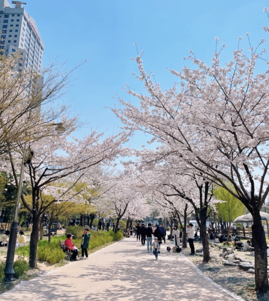 보라매공원