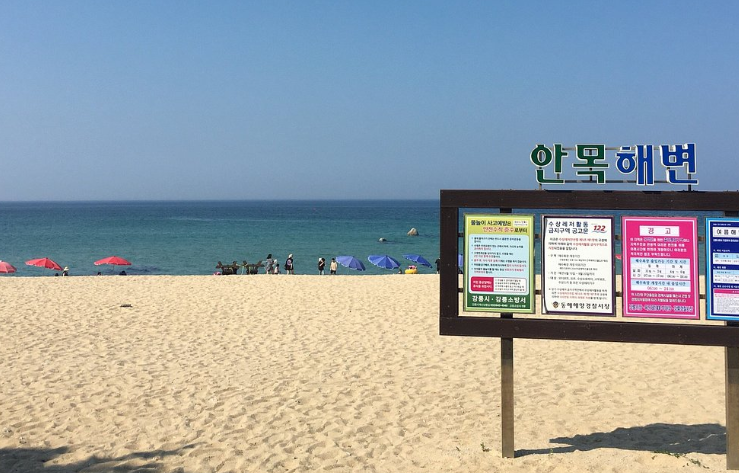 안목해변 모래와 파라솔의 모습