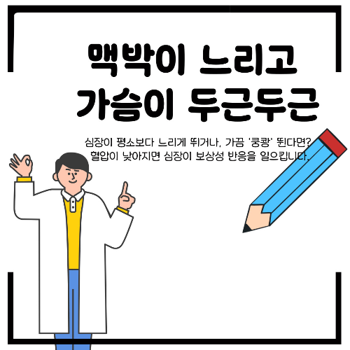 저혈압 증상