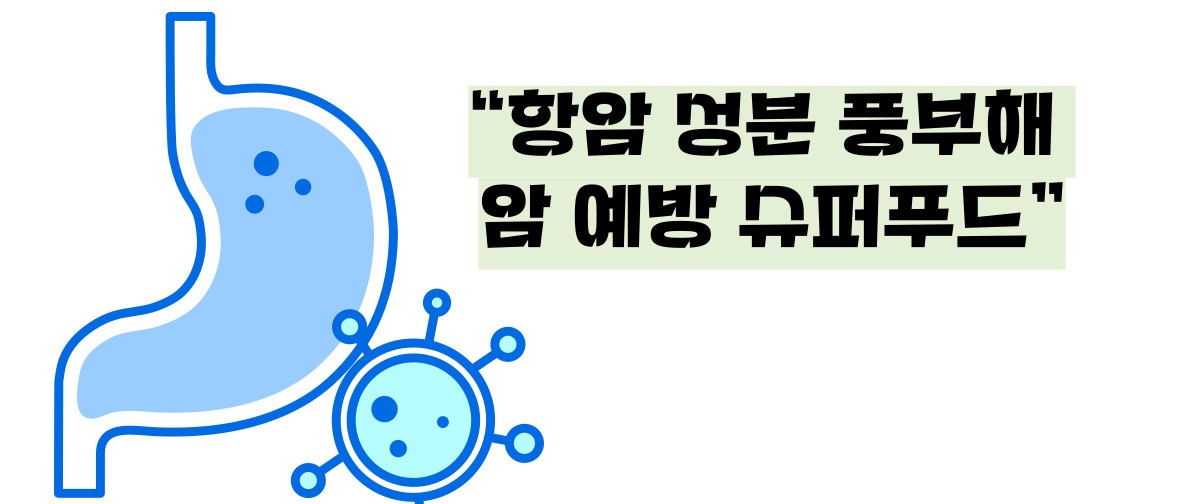 케일 효능