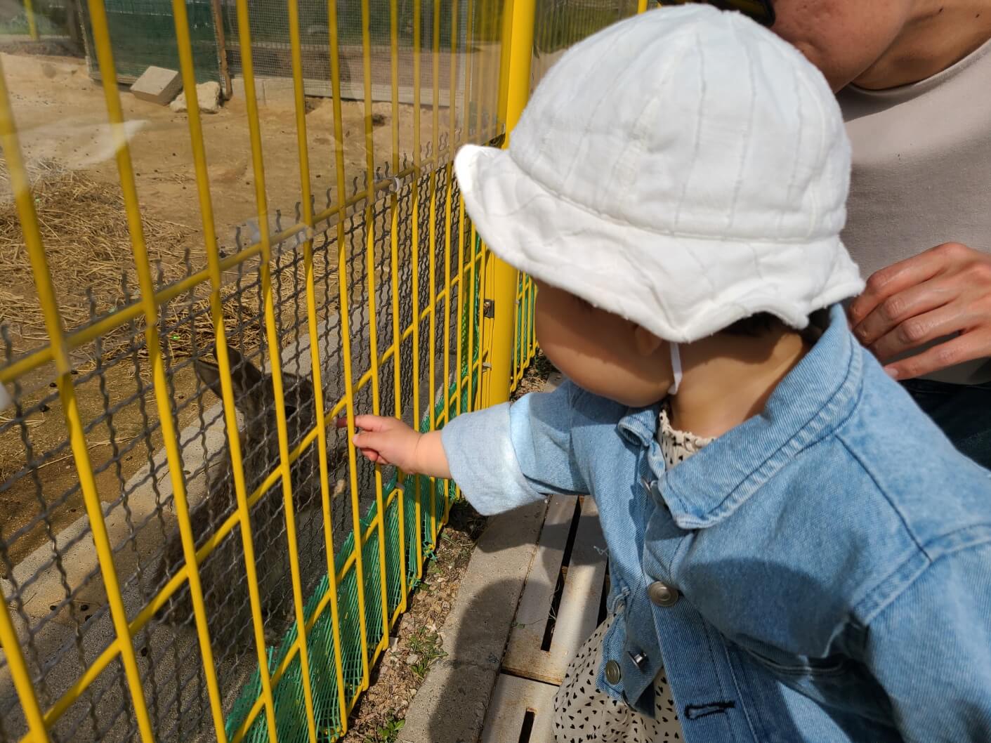 토끼를 만져보는 딸
