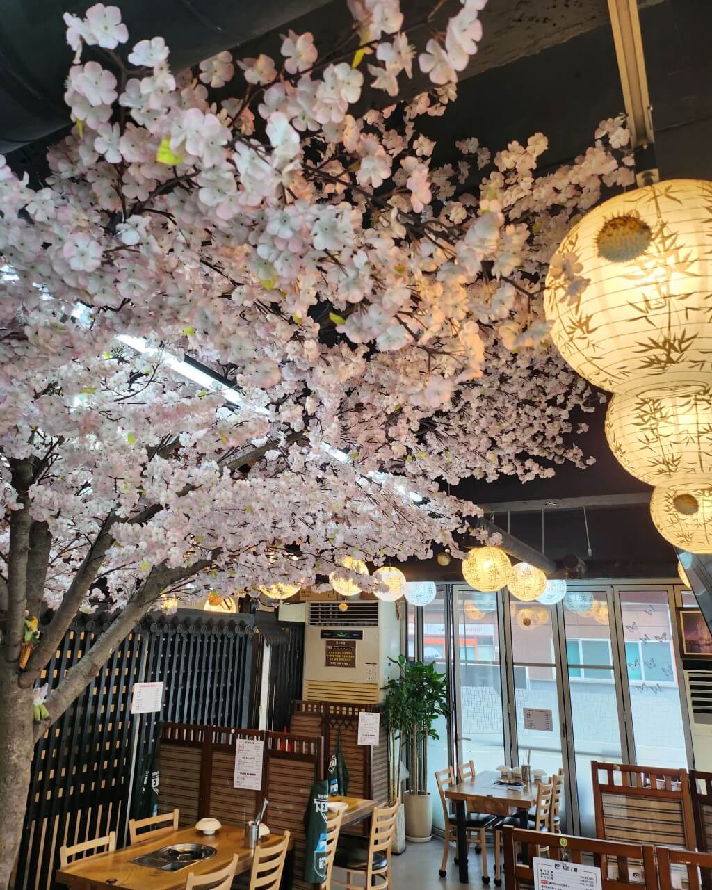 오늘N 한 끼에 얼마예요? 서울 양천구 복어요리 맛집 승아복집 오늘N 2497회 