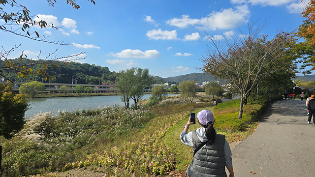 2025 순천만 국가정원 순천여행 맛집 현지인 추천 맛집 순천만 숙박