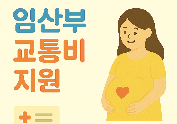 임산부교통비 관련 사진