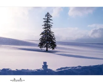 7월 8월 북해도 여름 날씨 홋카이도 삿포로 여행 최적기 성수기 옷차림 완벽 가이드_13