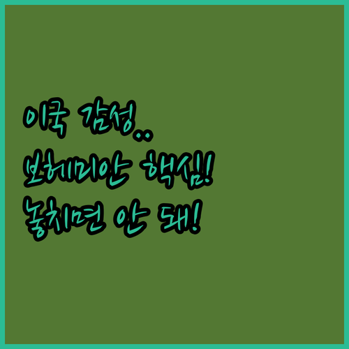 이국적 감성 보헤미안 차렵이불 담요 ..