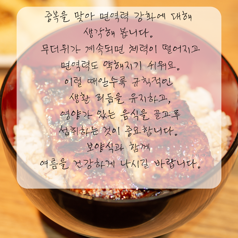 복날 인사말 중복날 문구 이미지