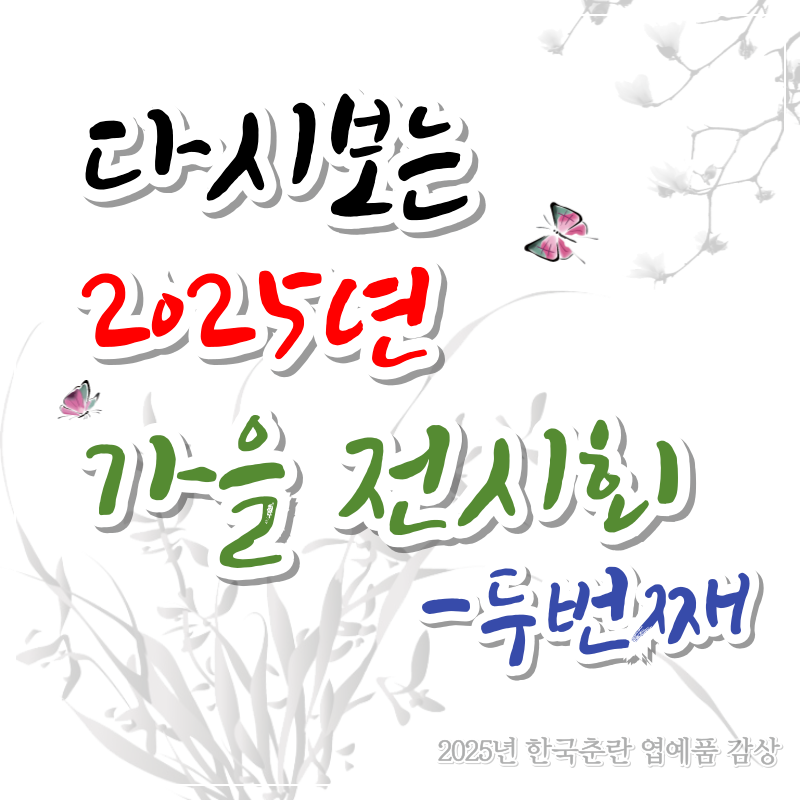 한국춘란 엽예품 가을 전시회 감상