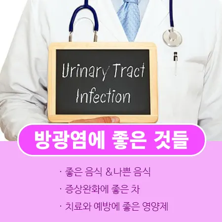 방광염에 좋은 음식