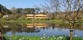 천리포 수목원 목련축제 입장료 여행코스_2