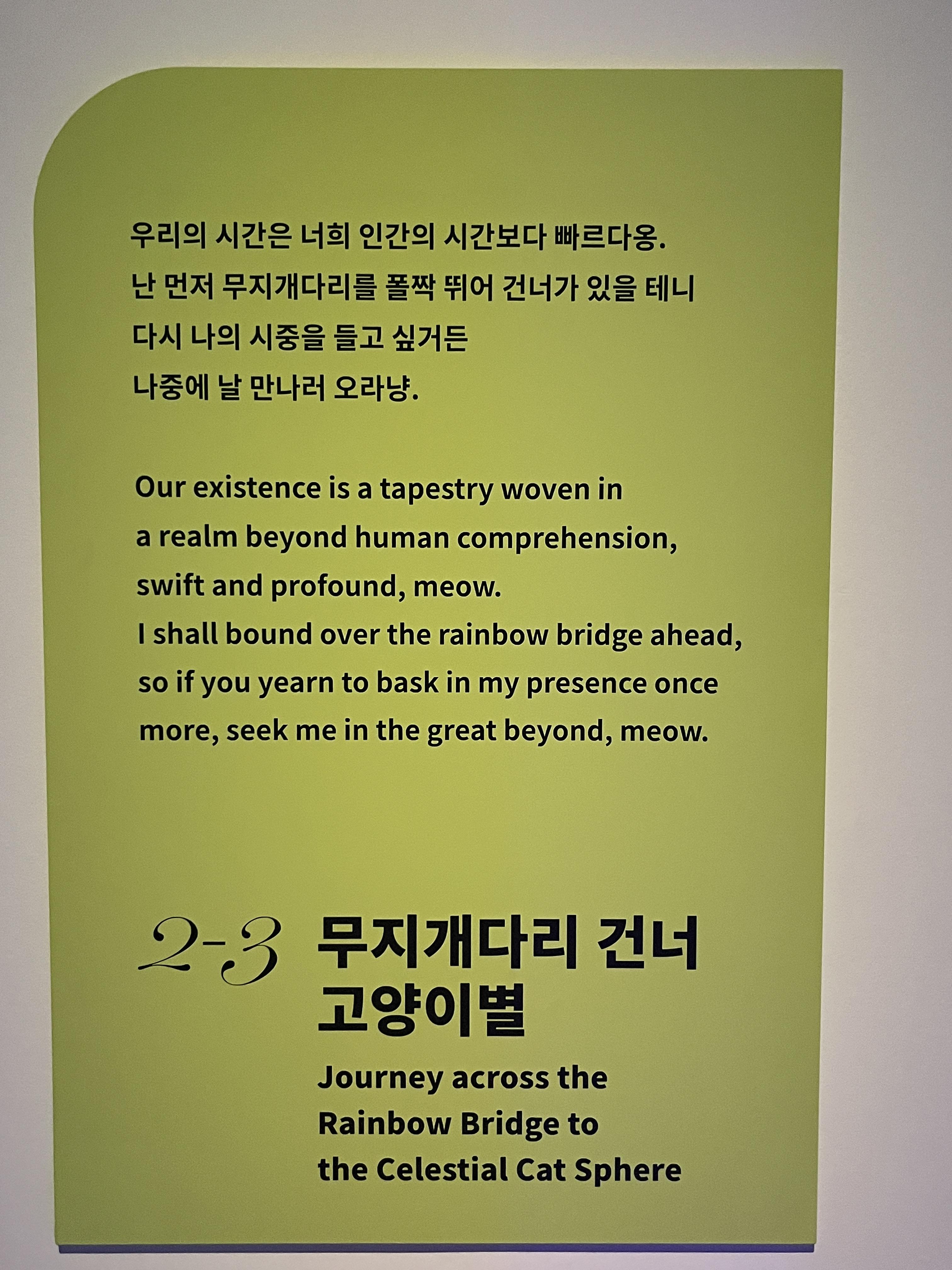 요물 우리를 홀린 고양이