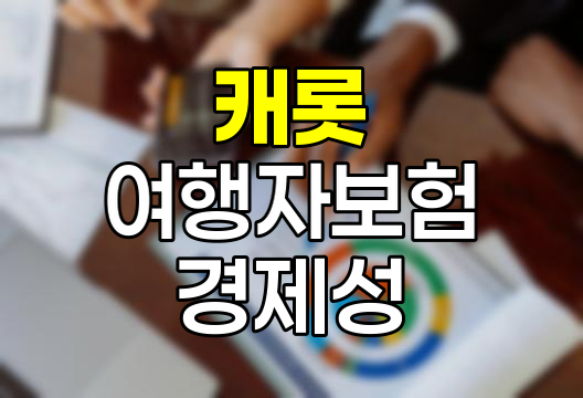 캐롯 여행자보험 경제성 분석과 활용 전략