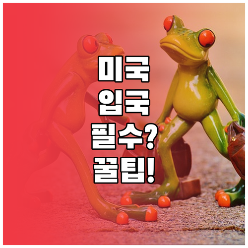 미국 입국 준비 ESTA와 비자 보안..