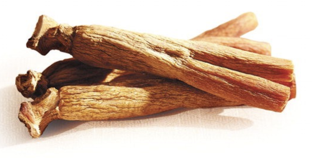 어버이날선물추천