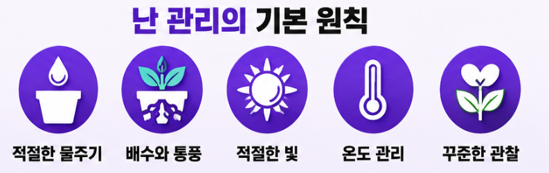 난 관리의 기본 원칙