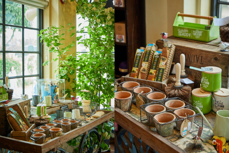 에버랜드 로로티 장미축제