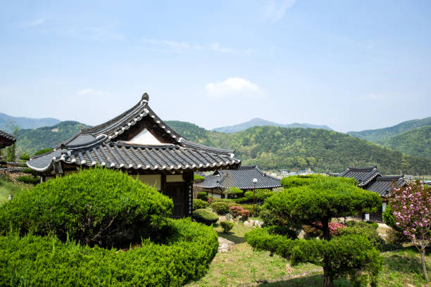 2024 청와대 개방 예약 방법(청와대 개방 2주년)