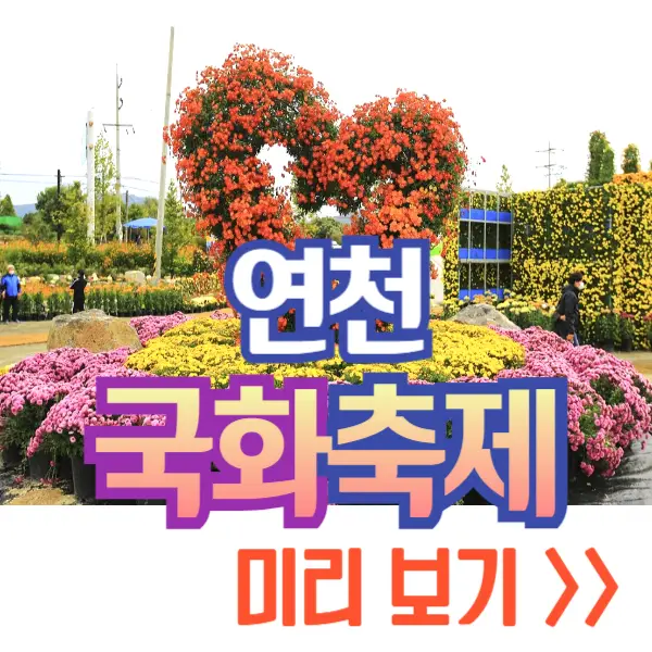 연천 국화축제