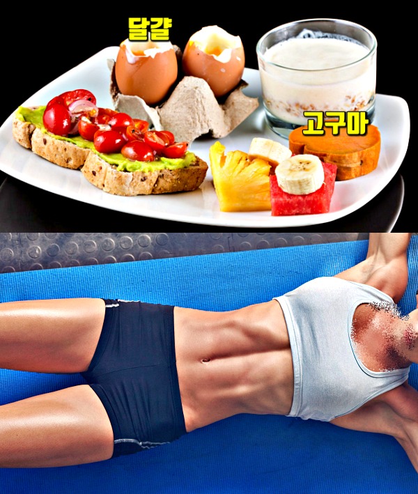 단기간 다이어트 허리 4인치 줄이기 식단 달걀,팁줌