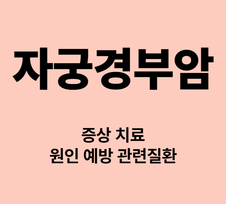 질 출혈 분비물증가 골반통증 소변이상 자궁경부암 주요증상