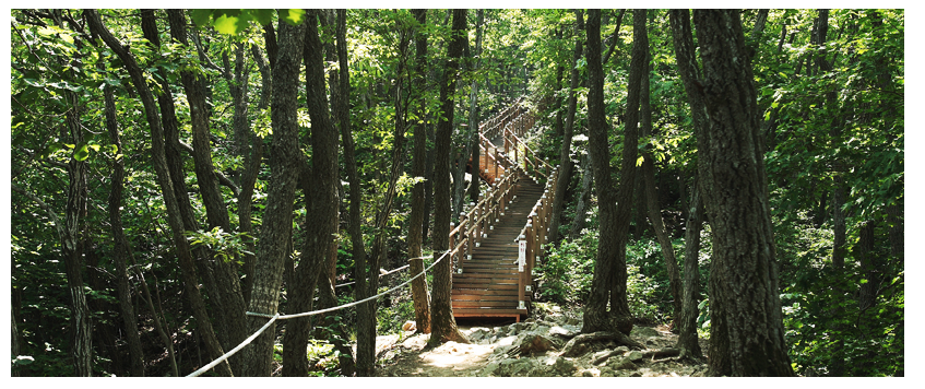 칠갑산 등산 코스 추천, 지도, 주차장 등 3분 정리