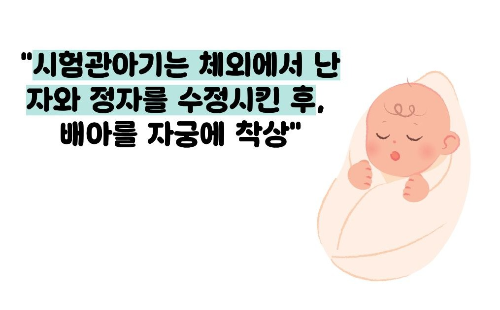 인공수정과 시험관아기 차이점