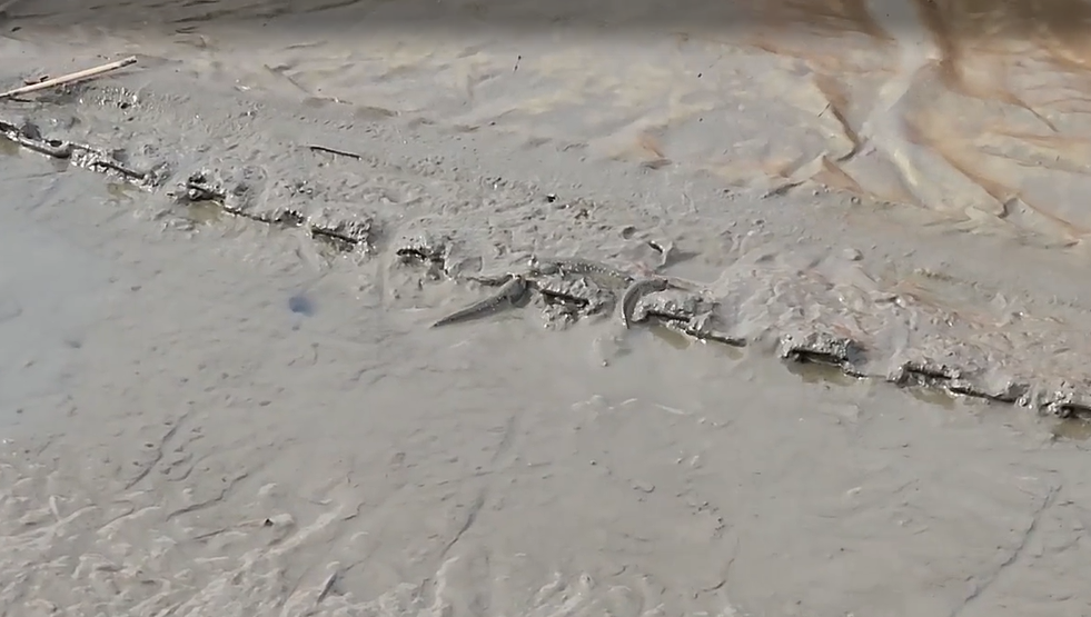 Alt 속성 문제 해결 설명 이미지